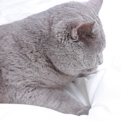 Similar image 11497769