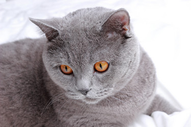 Similar image 11497770