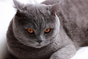 Similar image 11497771