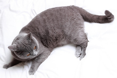 Similar image 11497998