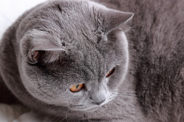 Similar image 11497999