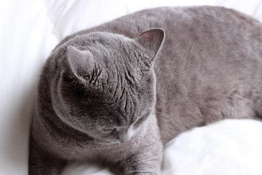 Similar image 11497885