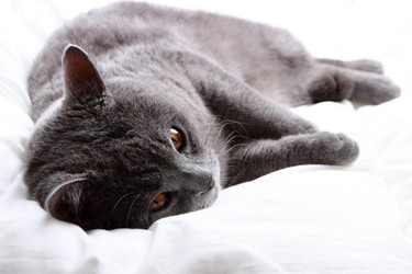 Similar image 11497921