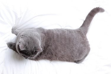 Similar image 11497922