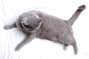 Similar image 11497940