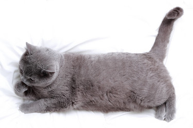 Similar image 11497941