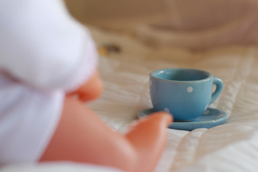 Similar image 11501446