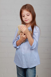 Similar image 11497209