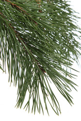 Similar image 11497535