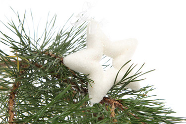 Similar image 11497755