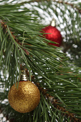 Similar image 11501511