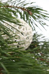 Similar image 11501567