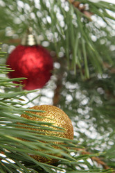 Similar image 11501568