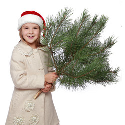 Similar image 11484806