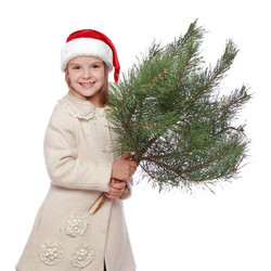 Similar image 11484847