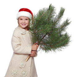 Similar image 11484849