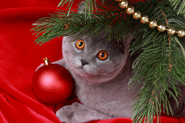 Similar image 11485082