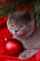 Similar image 11484165