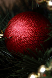 Similar image 11497985