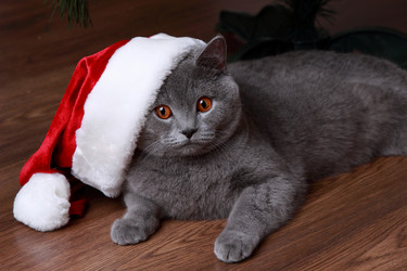 Similar image 11501469