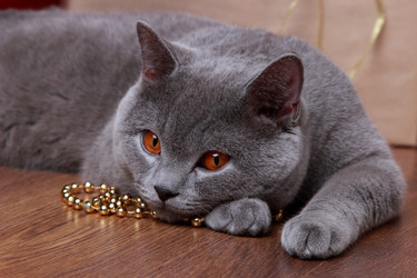 Similar image 11501705