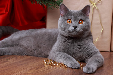 Similar image 11501744