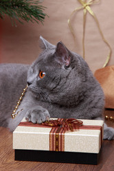 Similar image 11502347