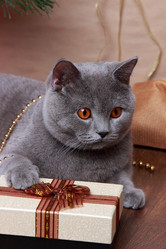 Similar image 11502384