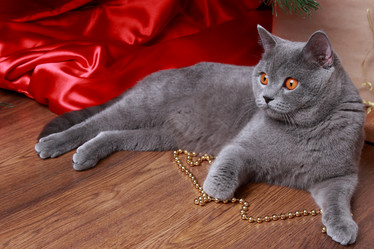 Similar image 11502386