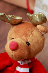 Similar image 11497214