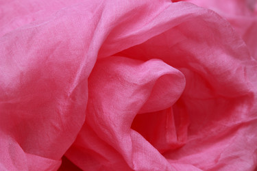 Similar image 11497254