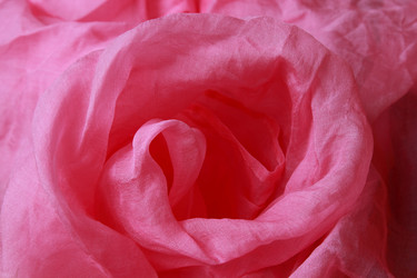 Similar image 11497536