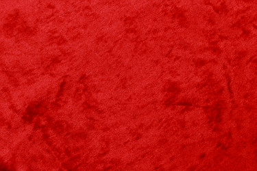 Similar image 11497923