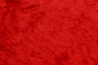 Similar image 11497925