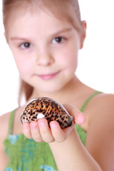 Similar image 11485009