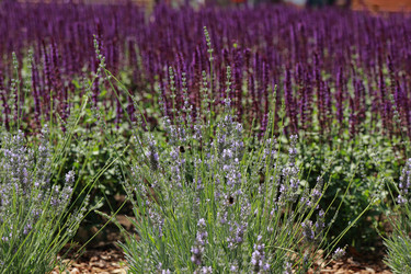 Similar image 11484233