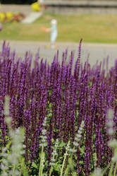 Similar image 11484354