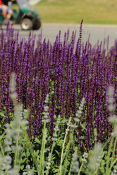 Similar image 11484370