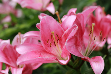 Similar image 11484494