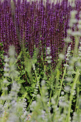 Similar image 11484515