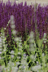 Similar image 11484535