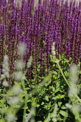 Similar image 11484538