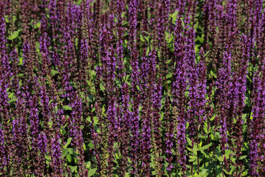 Similar image 11484551