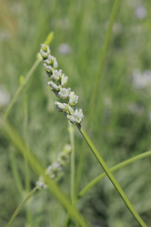 Similar image 11484576