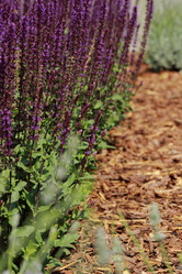 Similar image 11484578