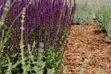 Similar image 11484613