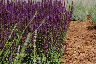 Similar image 11484631