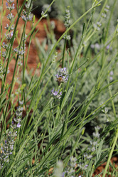 Similar image 11484674