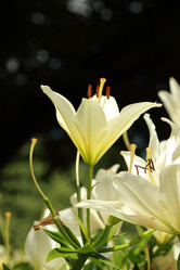 Similar image 11484697