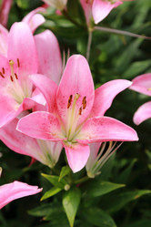 Similar image 11484733